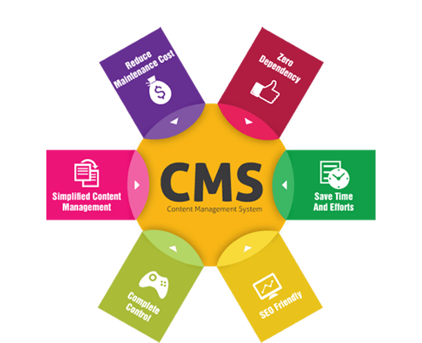Custom CMS Development That Puts You in Control